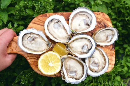 Oyster Delivery Services in Singapore