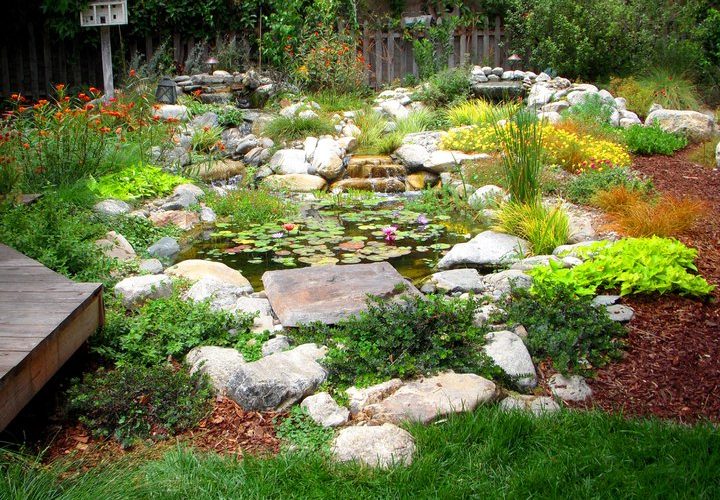Get to know more about Landscaping Process