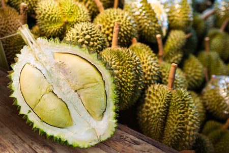 Get The Premium Quality S17 Durian Here