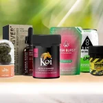 “Get Your Ultimate Guide to Exceptional CBD Products from BudPop”